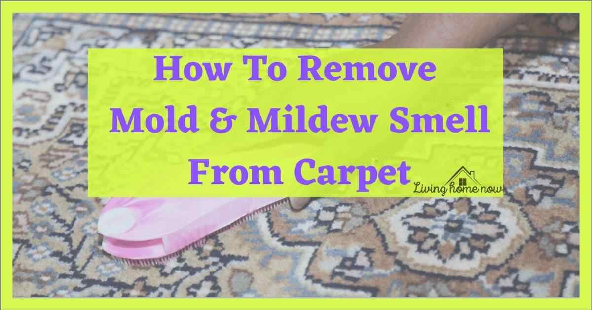 How To Easily Remove Mildew Smell In Carpet Best Tips