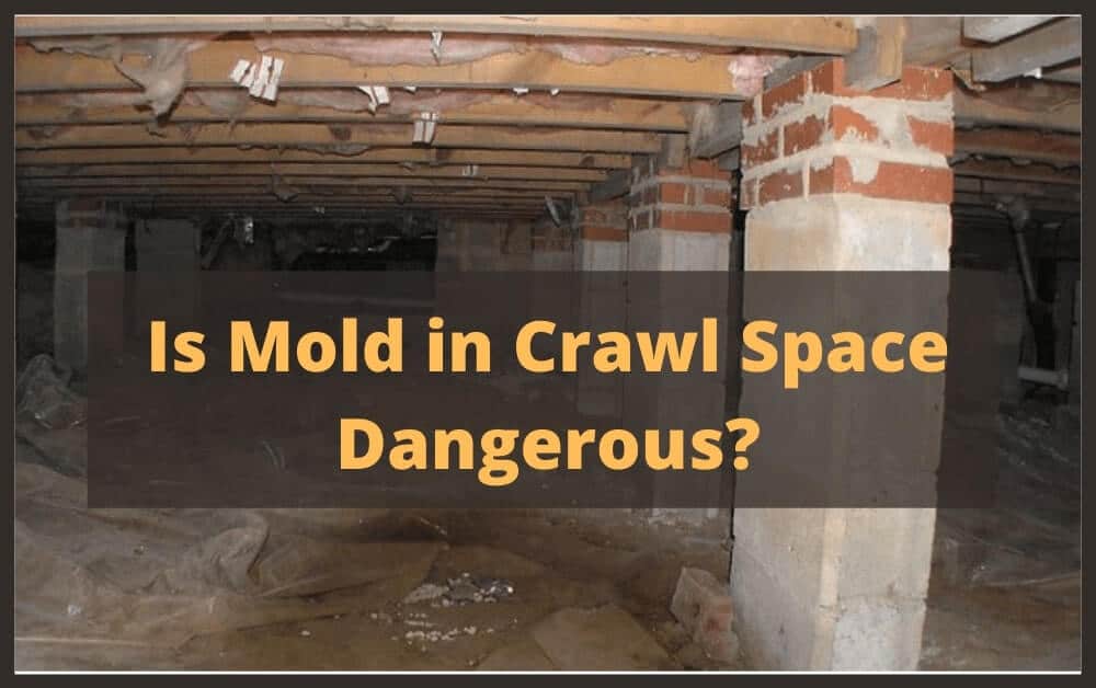 How To Kill Mold in Crawl Space-Best Mold Removal Tips