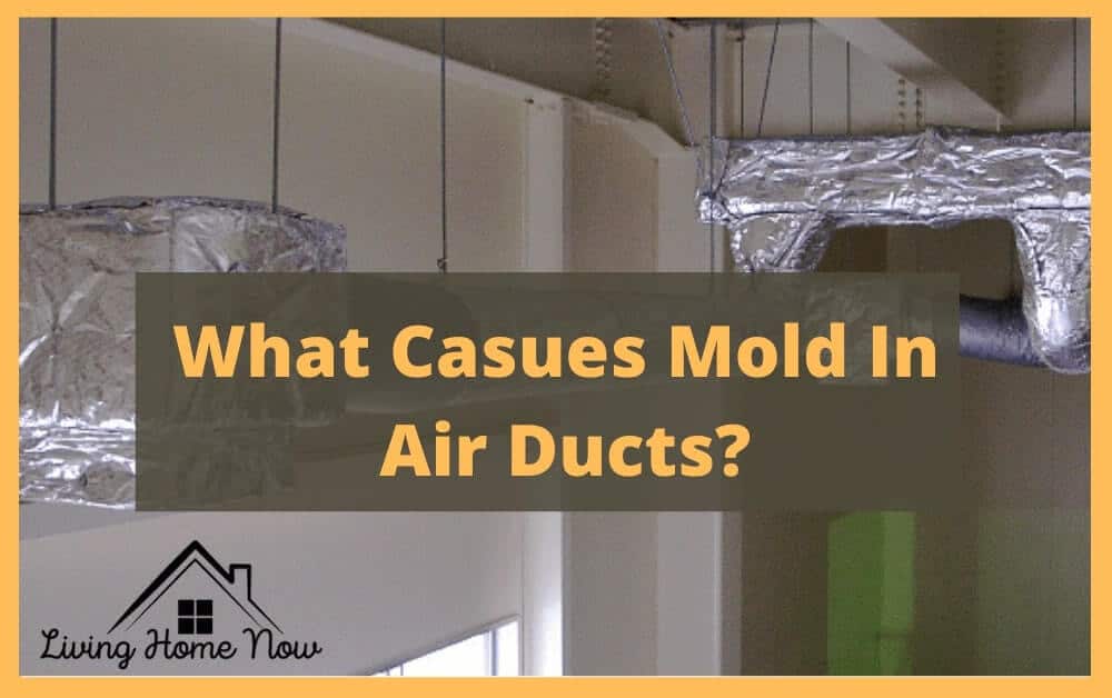 mold ducts air causes types remove